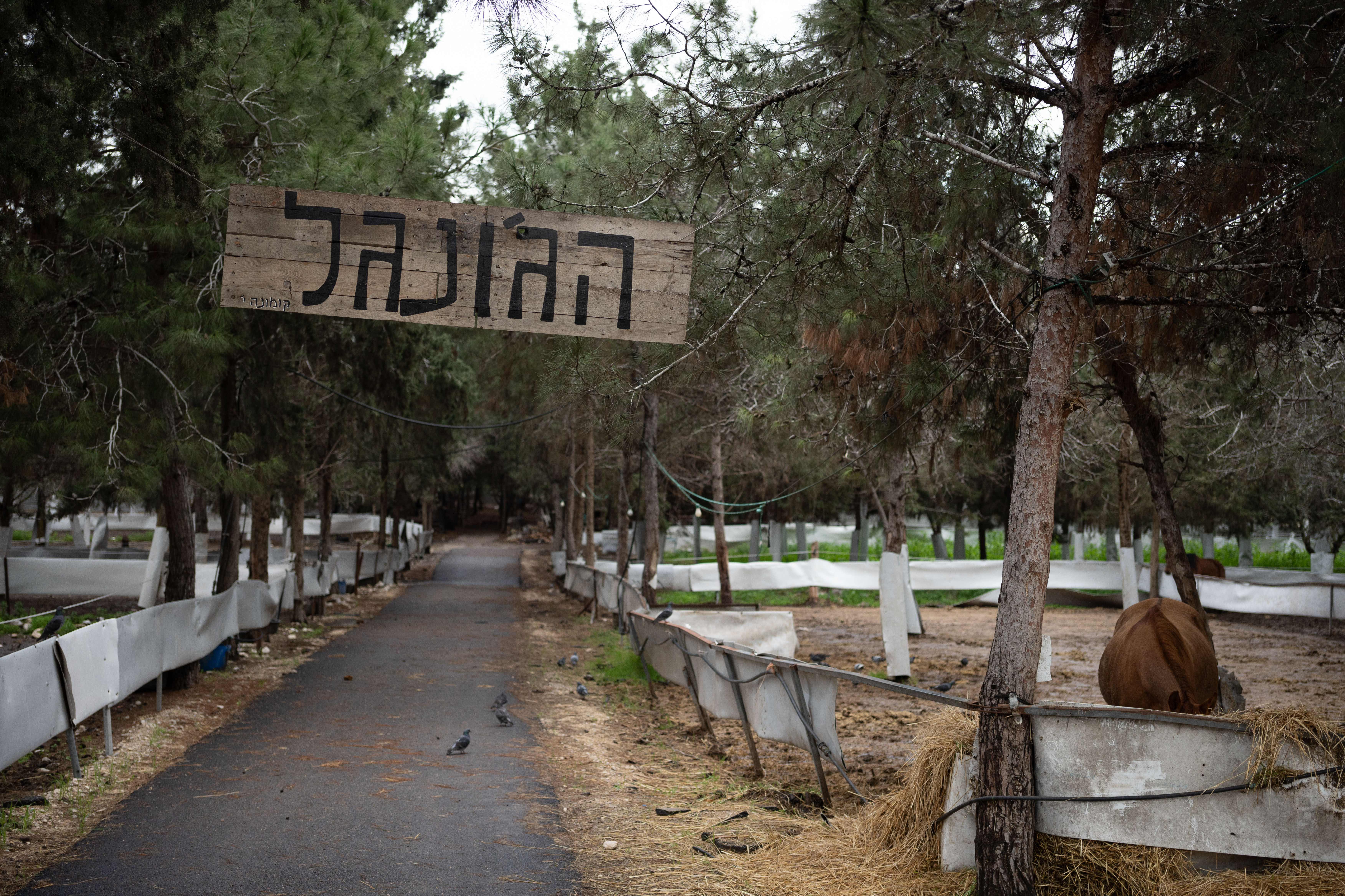מרכז עופר לחיות בר ומשק