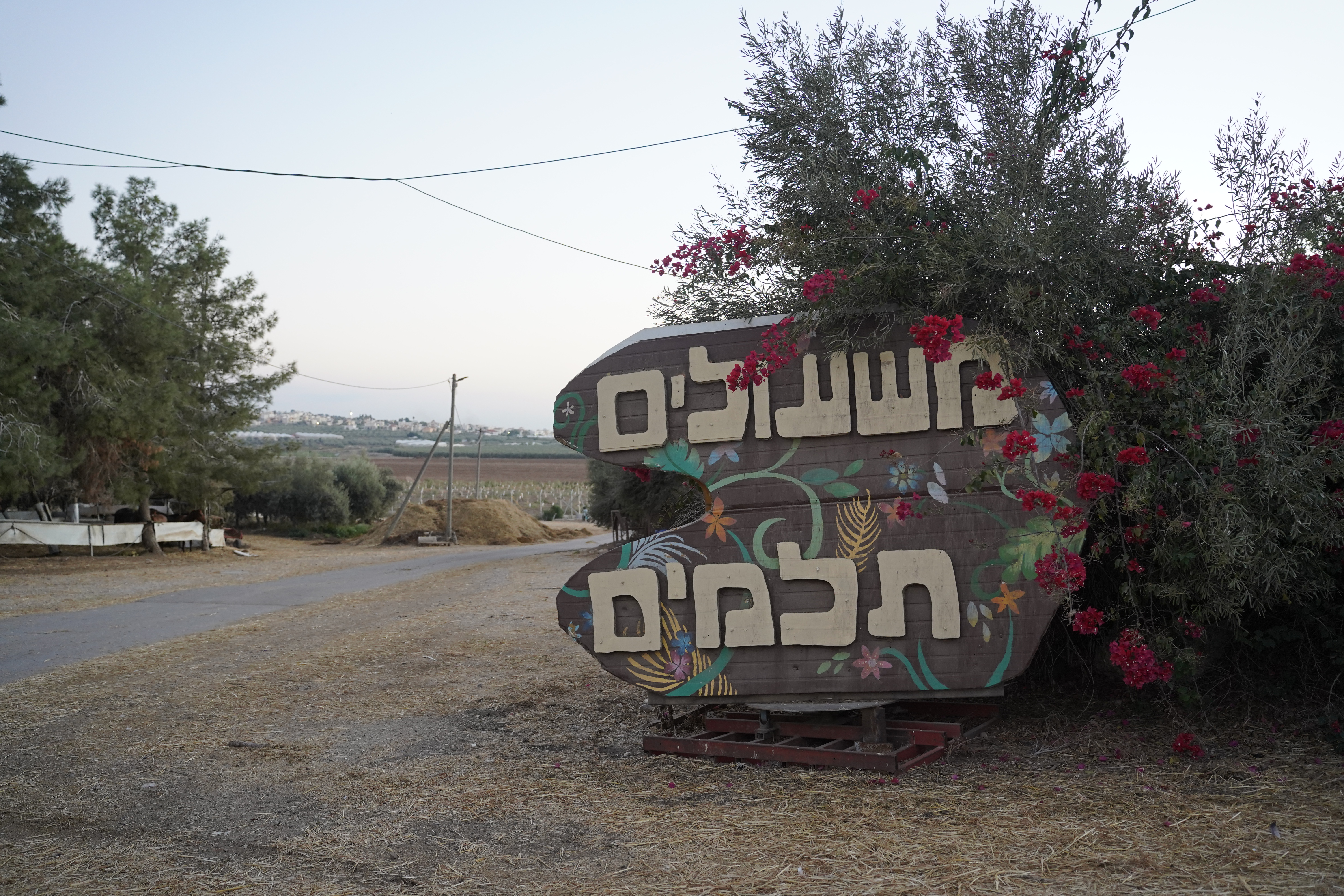 משעולים